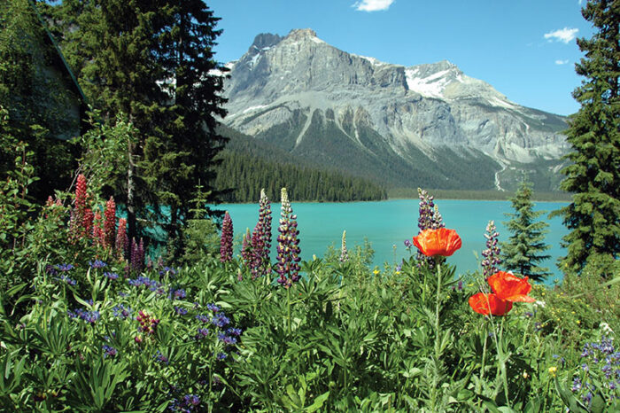 8 días en las Montañas Rocosas canadienses G1T