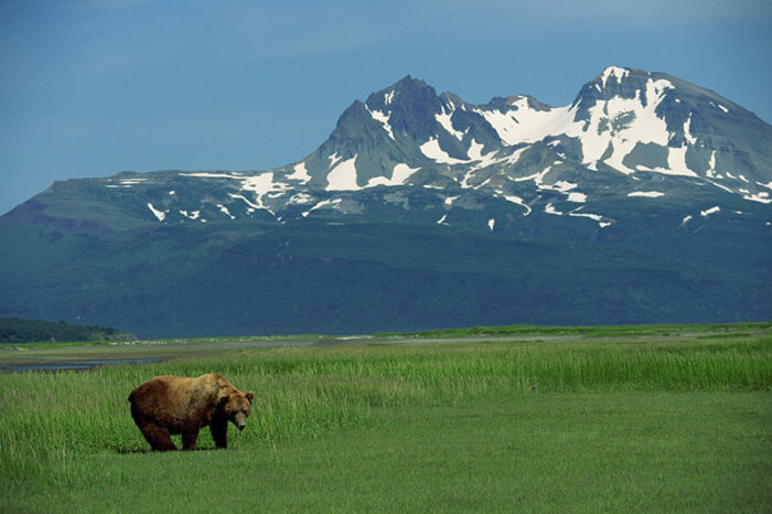 12 días en Alaska con Denali y crucero G1T