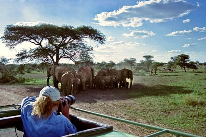 Safari de 11 días por Kenia G1T