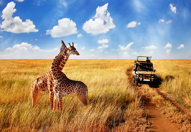 Sudáfrica esencial en 8 días G1T