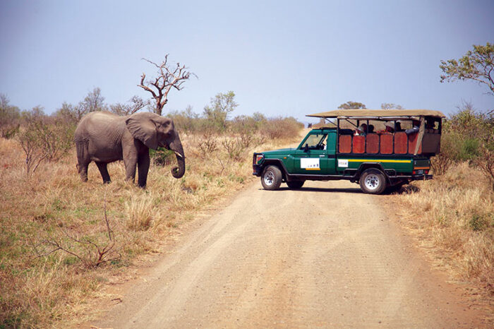 Safari de 13 días por Zambia y Zimbabue G1T