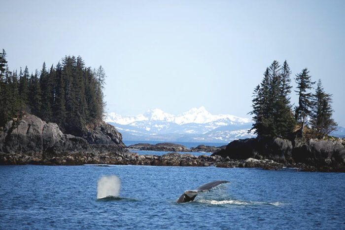 16 días de Alaska clásica con crucero G1T