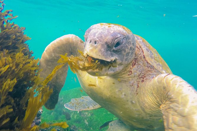 Galápagos Express de 7 días G1T