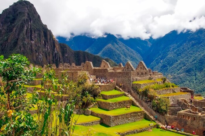 Recorrido a pie de 8 días por el Camino Inca en Perú G1T