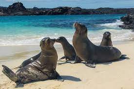 12 días en Ecuador y las Islas Galápagos G1T