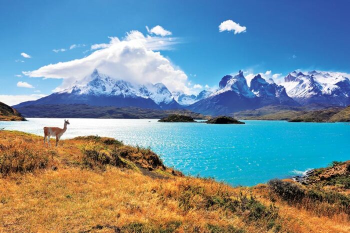 13 días en Chile y Argentina con los glaciares de la Patagonia G1T