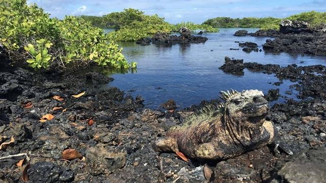 Galápagos Express de 6 días G1T