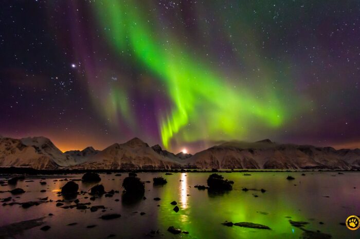 Auroras boreales en Islandia (6 días, Chicago) G1T