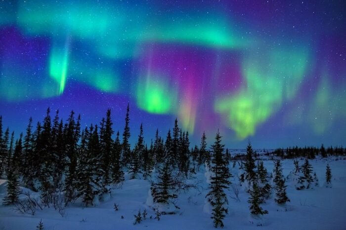 5 días para ver la aurora boreal en Islandia (Chicago) G1T